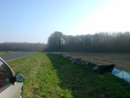 Passage à amphibiens de Choisy-au-Bac © Agnès Eudelle