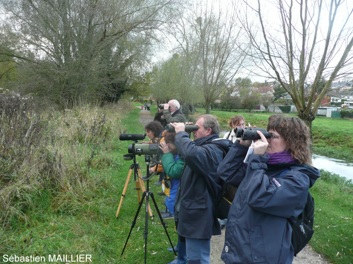 bénévoles en action