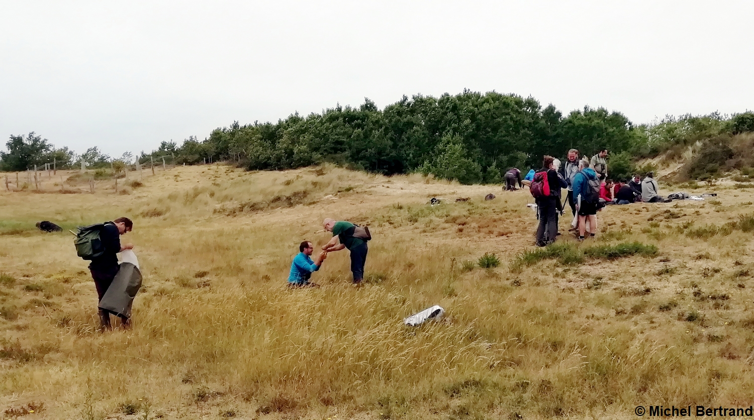 Recherche dans les dunes de Fort-Mahon