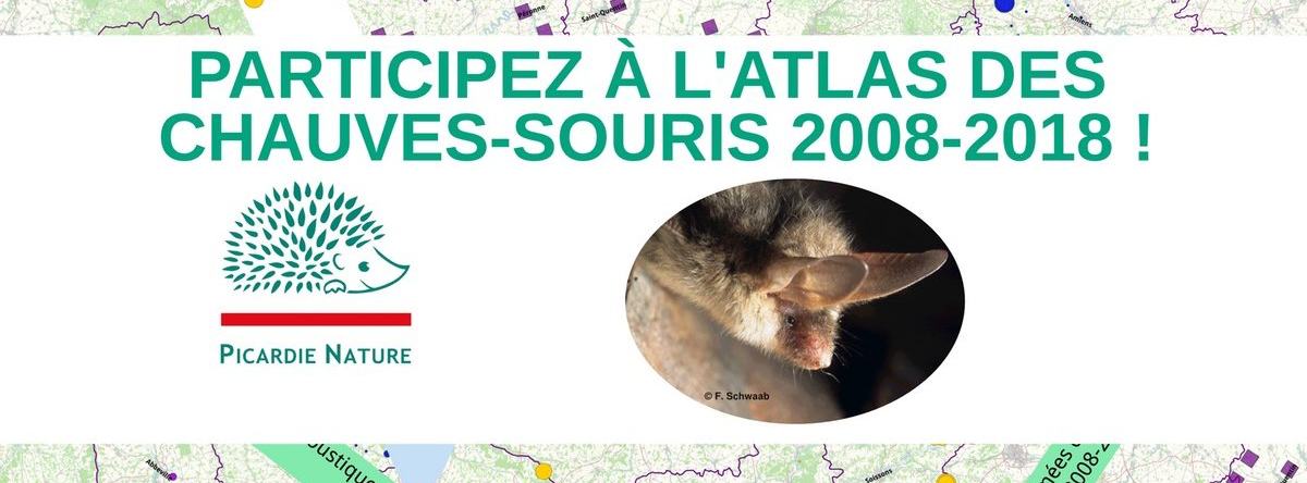 Lancement de l'Atlas des chauves-souris